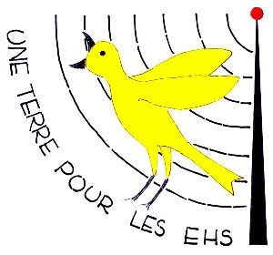 Afficher le billet