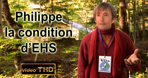 Afficher le billet