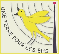 Afficher le billet